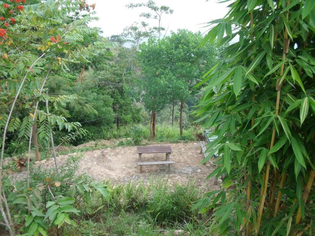 Artist Cottage Haputale Exterior photo